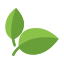icons8-blatt-64